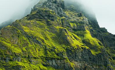 Green mountain cliff, monsoon season, nature