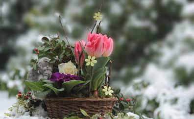 Beautiful, colorful flowers, basket