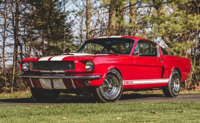 Red, classic car, 1966 Shelby GT350
