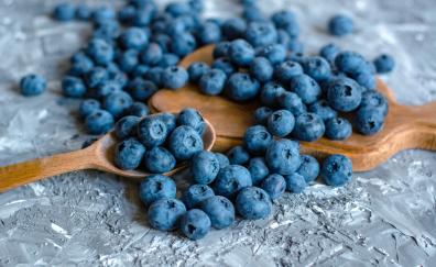 Blueberry, fruits, wooden spoons