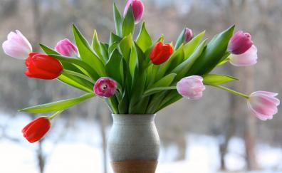 Flowers, vase, red, pink tulip