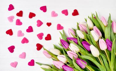 Heart, shapes, flowers, pink tulips