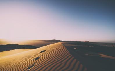 Desert, sunset, clean skyline, sand, dunes