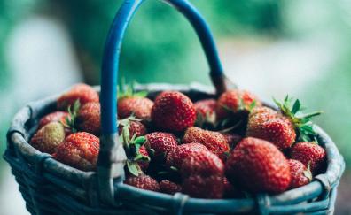 Strawberries, red, basket