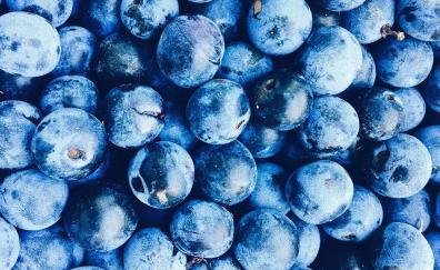 Fresh, blueberry, fruits