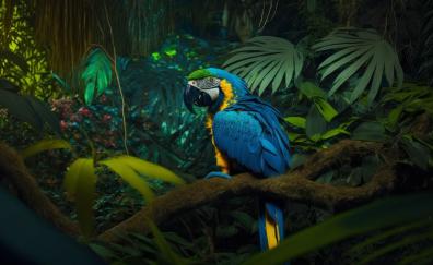 Colorful bird, macaw parrot, art