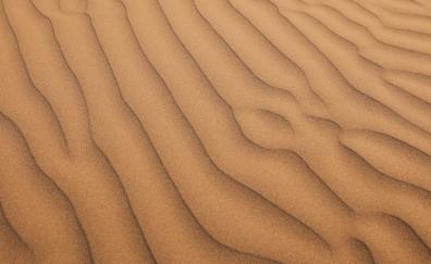 Sand, surface, desert