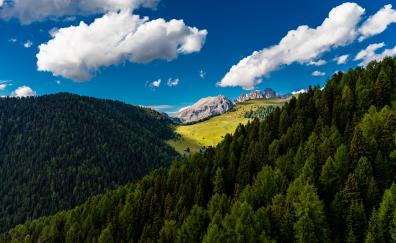 Trees, mountains, clouds, summer, sunny day