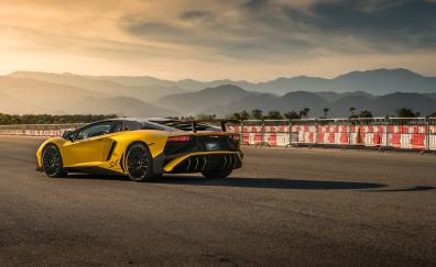 Lamborghini Aventador SVJ, yellow, rear view, 2019