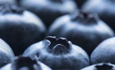 Fruit, blueberry, close up