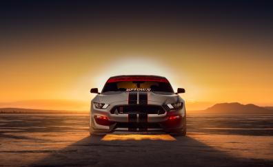2022 Ford shelby GT350, sport muscle car