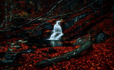 Autumn, red leaves, forest, waterfall, river, water stream