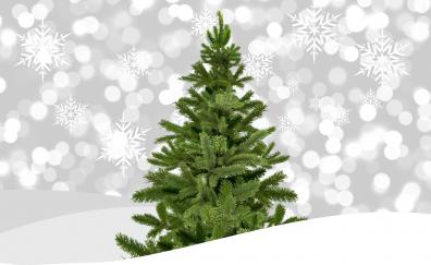 Christmas tree, holiday, decorations, bokeh