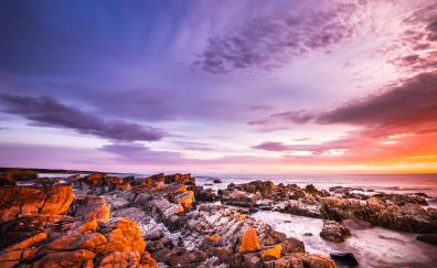 Bay of Fires, coastal rocks, rocky shore, sunset, nature