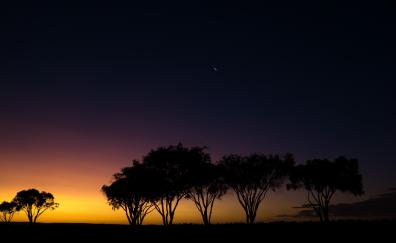 Sunset, trees, Siesta Park, Australia