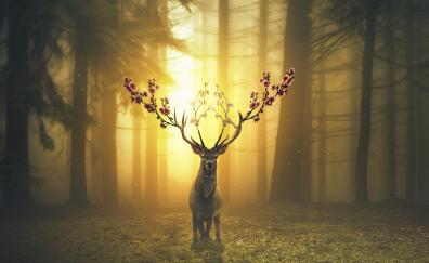 Deer, forest, surreal