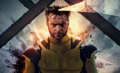 Wolverine's legendary, legacy of logan, artwork
