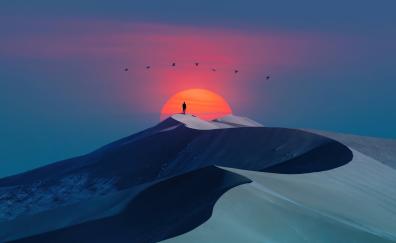 Birds over desert, sunset & man, silhouette, minimal art