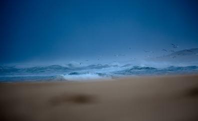Seagulls, sea waves, blue sea, sky, blur