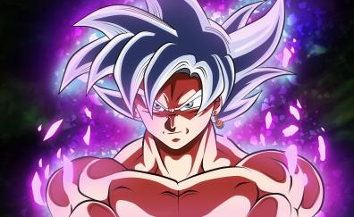 Goku, black, white hair, dragon ball super