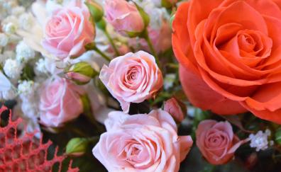 Bouquet, rose, colorful