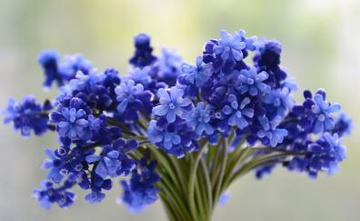 Blue flowers bouquet, adorable