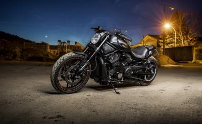 Harley Davidson, muscle bike, night out