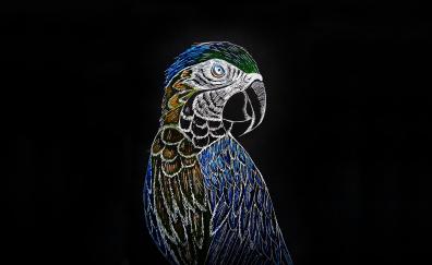 Parrot, macaw, art
