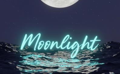 Moonlight Inscription, seascape, moon