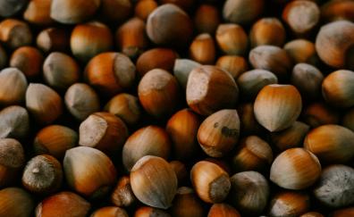 Nuts, close up